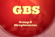 GBS בהריון ולידה