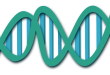 בדיקות גנטיות – מדריך